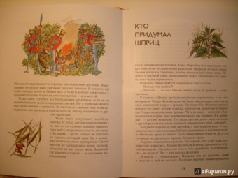 Николай Осипов: Заколдованное дерево