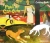 Аннет Рёдер: Paul Gauguin. Coloring Book