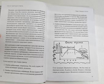 Леонид Чутко: Сил нет. Адаптация к стрессу, или Как остаться здоровым в нездоровом мире