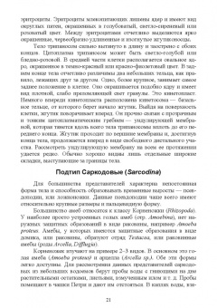 Блохин, Блохина: Практикум по зоологии. Учебное пособие для вузов