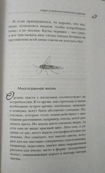 Анне Свердруп-Тайгенсон: Планета насекомых. Странные, прекрасные, незаменимые существа, которые заставляют наш мир вращаться