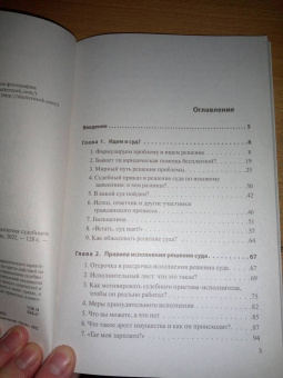Алена Ульянова: Как самому выиграть суд и добиться исполнения судебного решения
