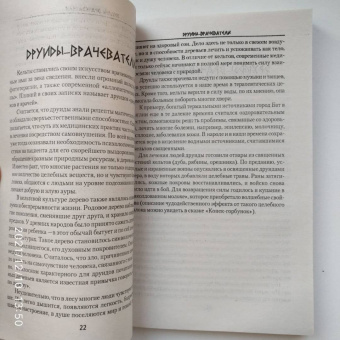 Виталий Молохов: Тайные знания друидов