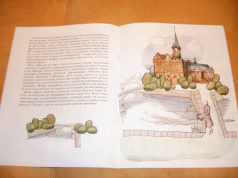 Ольга Велейко: Калининград:  там, где танцует лес