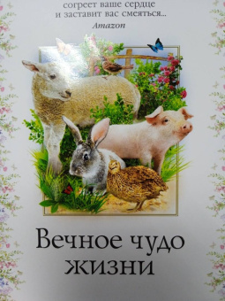 Джеймс Хэрриот: Вечное чудо жизни