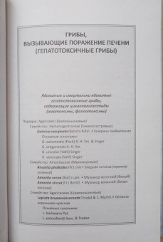 Михаил Вишневский: Ядовитые грибы России