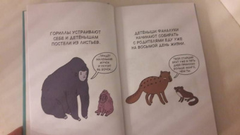 Брук Баркер: Грустные факты о детенышах