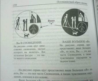 Арнольд Минделл: Сновидение в бодрствовании. Методы 24-часового осознаваемого сновидения в психотерапии