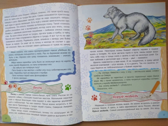 Тамара Николаева: Там, на неведомых дорожках...