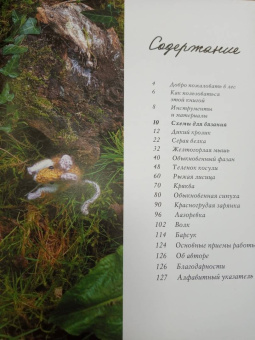 Клэр Гарланд: Лесные жители, связанные на спицах. 12 реалистичных игрушек