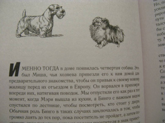 Элизабет Томас: Собаки и тайны, которые они скрывают. Легендарный бестселлер о сознании, поведении и привычках