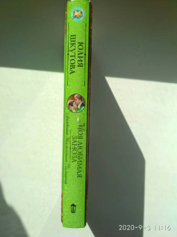 Юлия Шкутова: Моя любимая заноза. Академия Магического Познания