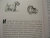 Элизабет Томас: Собаки и тайны, которые они скрывают. Легендарный бестселлер о сознании, поведении и привычках