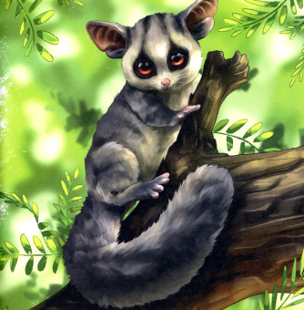 Марина Левина: Редкие животные