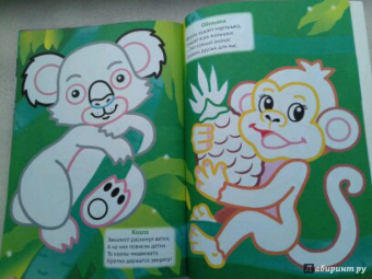 Манакова, Корнеева: Дикие животные