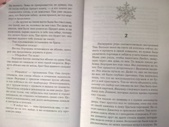 Габи Вольраб: Принц фейри