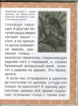 Инна Гамазкова: Гнезда, норки, домики