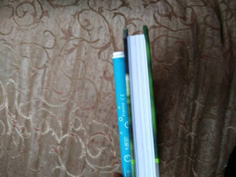 Владимир Бабенко: Животные рядом с нами