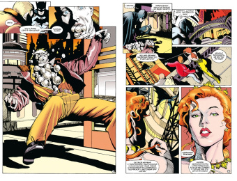 Алан Грант: Бэтмен. Тень Летучей Мыши. Ядовитый Плющ. Год 1-й