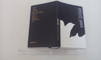 Шамиль Аляутдинов: Мир души