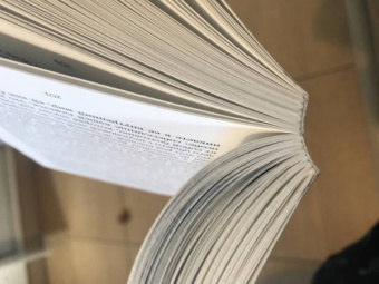 Гофман Эрнст Теодор Амадей: Эликсиры сатаны