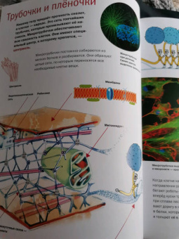 Егоров, Нечипоренко: Живой дом