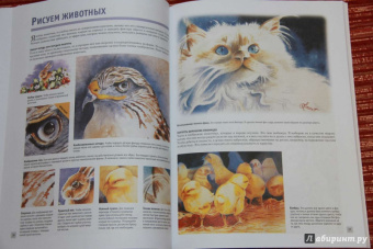 Лучшие уроки. Рисуем акварелью