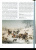 Майорова, Скоков: Русская живопись. 1850-1860