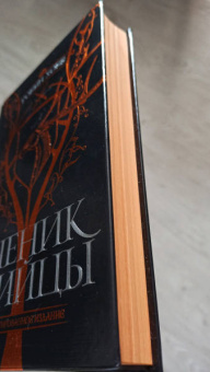 Робин Хобб: Ученик убийцы. Иллюстрированное издание