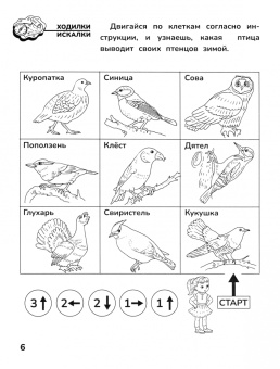 Ирина Праведникова: Приключения дошкольника. В лесу. 4-5 лет