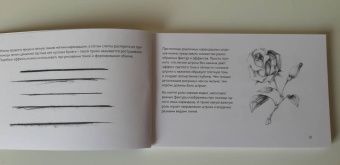 Анна Николаева: Скетчбук по ботанической иллюстрации. Простые пошаговые уроки по рисованию цветов и растений