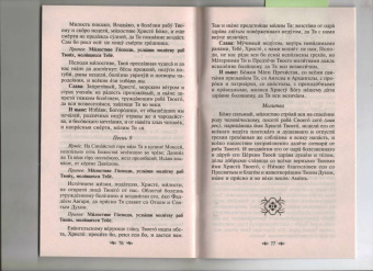 В недугах утешение. Советы святых отцов. Наставления. Молитвы