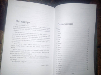 Рейчел Кейн: Мрачный залив