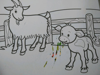 Домашние животные