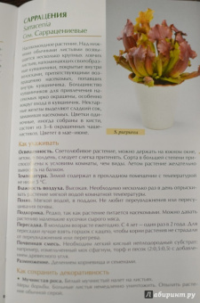 Валентин Воронцов: Секреты ухода. Декоративнолистные комнатные растений