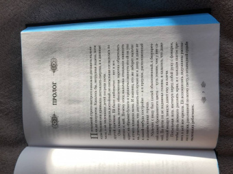 Эмили Тейлор: Отель "Манифик"