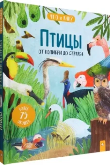 Джеки Маккэнн: Птицы. От колибри до страуса