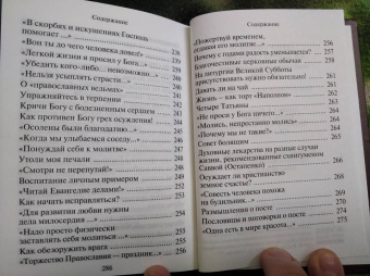 Н. Скоробогатько: "Душу спасти - не лапоть сплести". Опыт современного отечника для мирян
