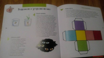 Нуриа Рока: Чувства. От печали до радости