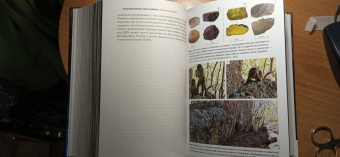 Марков, Наймарк: Эволюция человека. В 3-х книгах. Книга 3. Кости, гены и культура