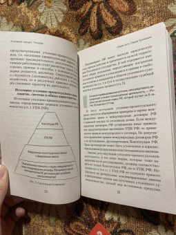 Наталья Угольникова: Уголовный процесс. Полный курс лекций + схемы, таблицы, определения