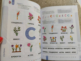 Ирина Мальцева: Буквы. Учимся уверенно узнавать буквы и слова. 5-6 лет