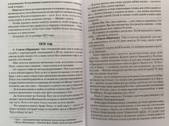 фон Лампе Алексей Александрович: Мой дневник. 1919. Пути верных