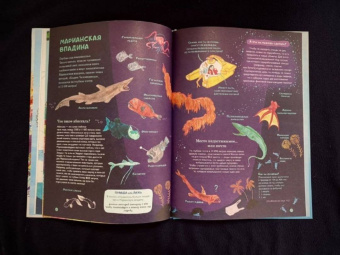 Амандин Тома: Через океаны