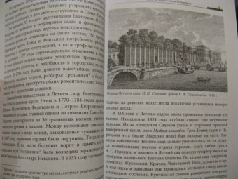 Марина Тиходеева: Санкт-Петербург глазами геоботаника