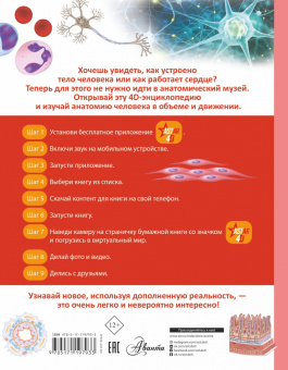 Анна Спектор: Тело человека