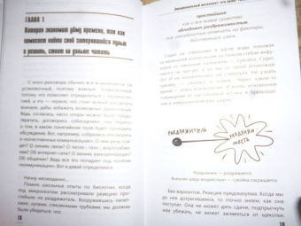 Ирина Рыжкова: Эмоциональный интеллект. Кто рулит твоими эмоциями