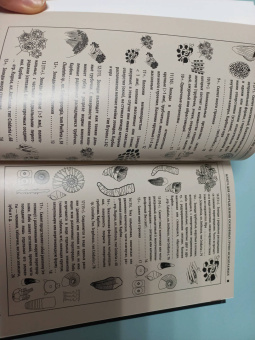 Шмаков, Дадыкин, Верлатова: Ископаемые Московского региона. Атлас-определитель