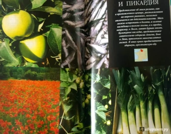 Эдвардс Наташа: Франция. Лучшие отели и рестораны