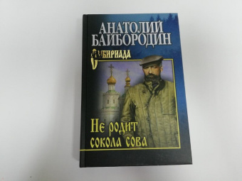 Анатолий Байбородин: Не родит сокола сова